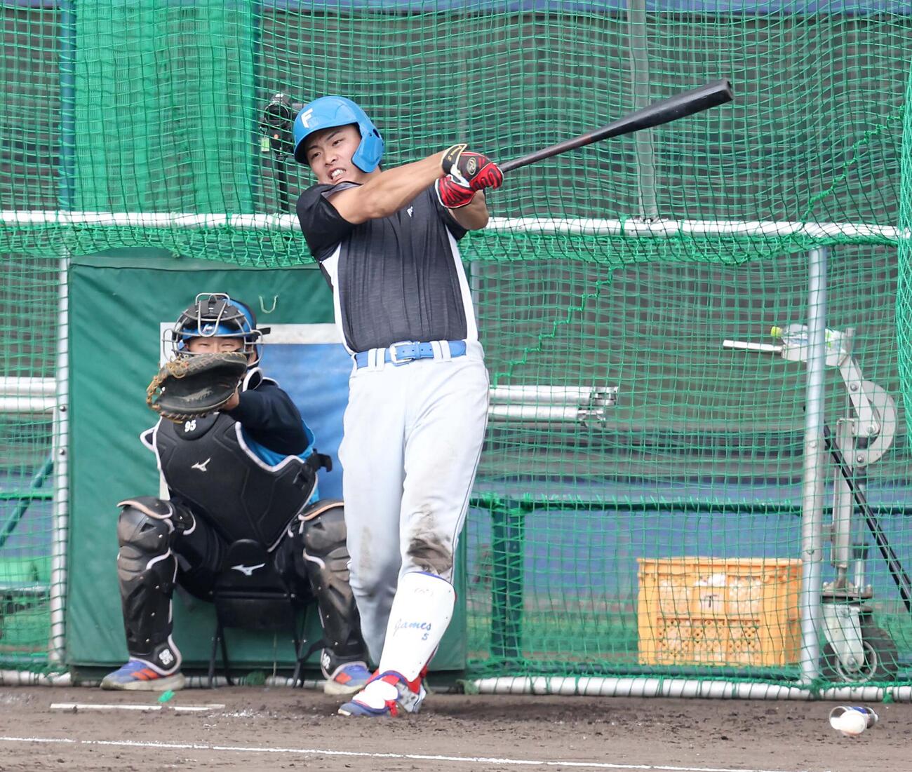 特打に汗を流す野村（撮影・黒川智章）