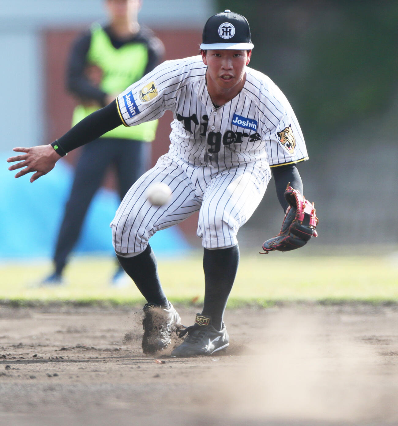 サブグラウンドでノックを受ける阪神百崎（撮影・上山淳一）