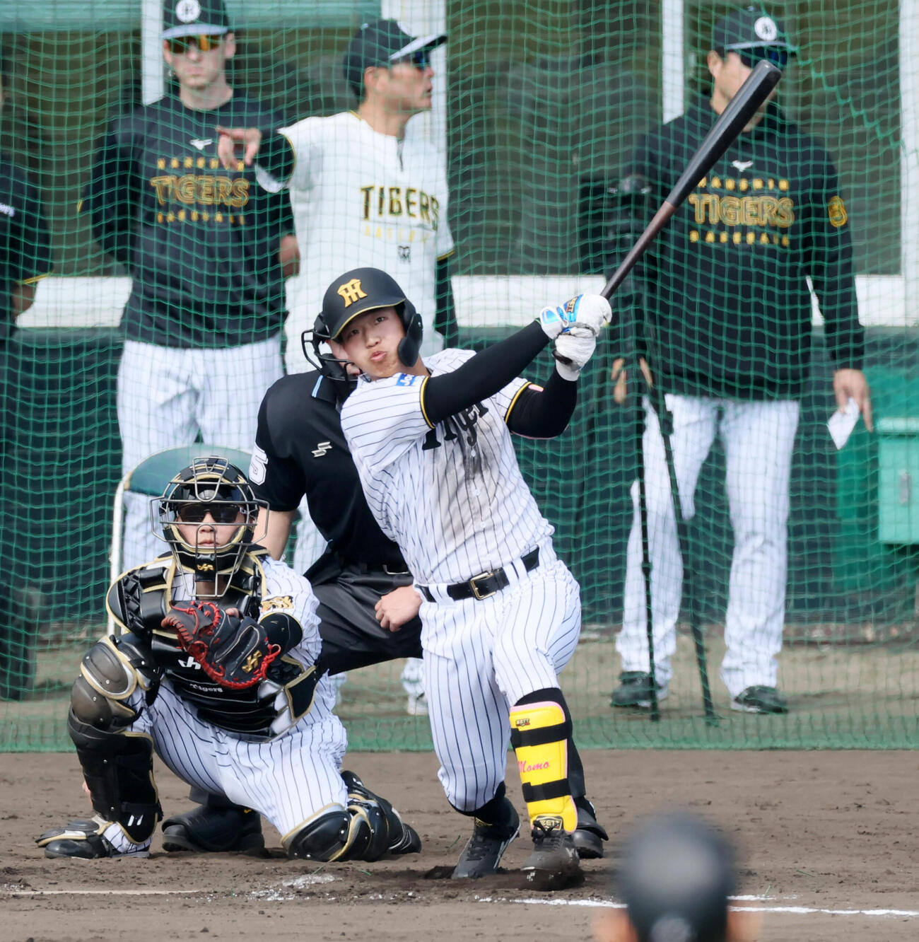 シート打撃練習で外野へ飛球を打ち上げる阪神百崎（撮影・加藤哉）
