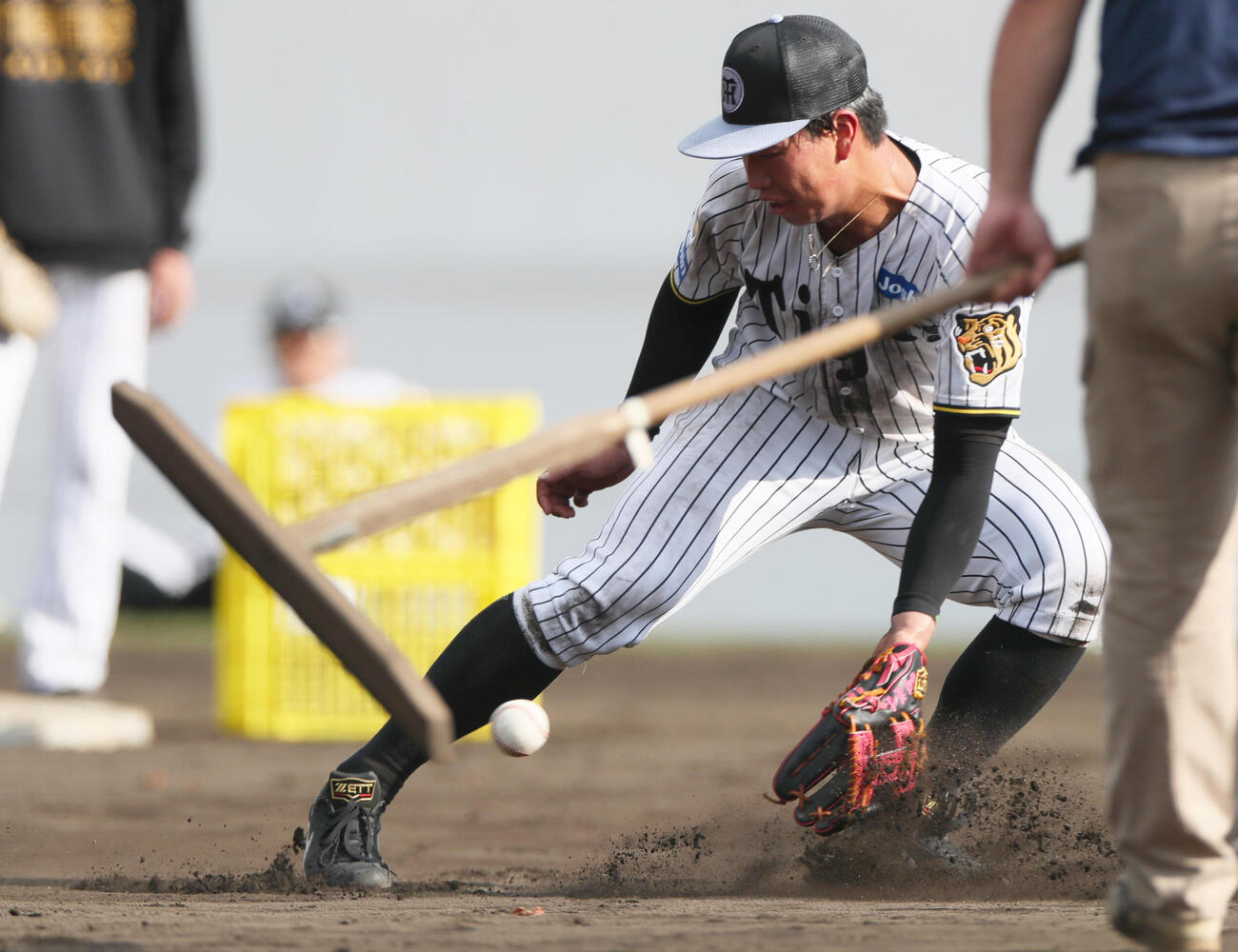 サブグラウンドでノックを受ける阪神百崎（撮影・上山淳一）