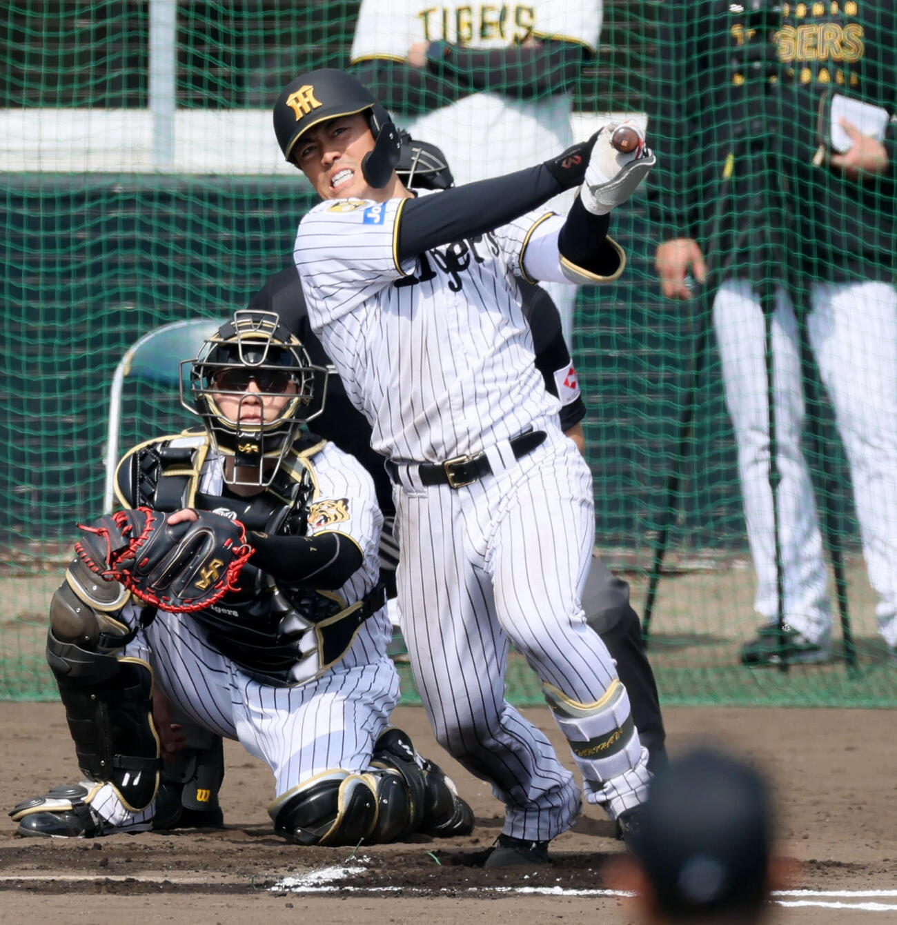 シート打撃練習で左前打を放つ阪神谷端（撮影・加藤哉）
