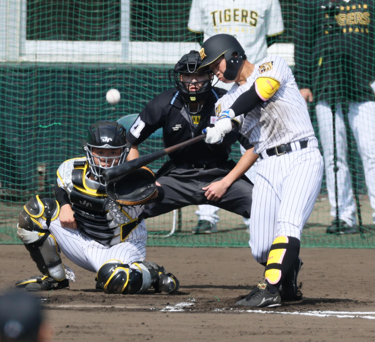 シート打撃練習で中飛を打ち上げる阪神百崎（撮影・加藤哉）