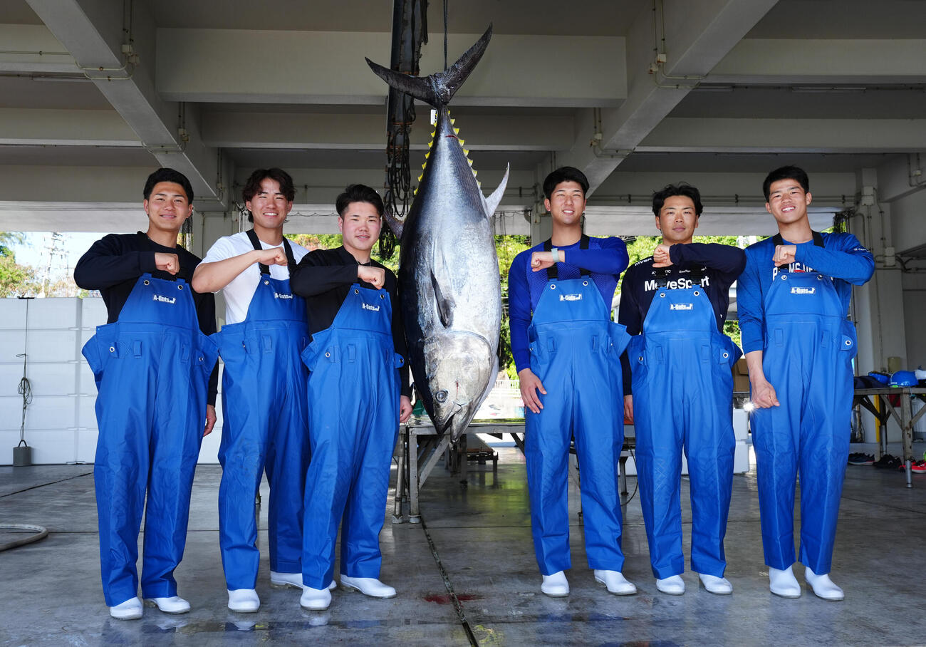 クロマグロと記念撮影に納まるDeNAの、左から成瀬、宮下、小田、島田、片山、清水詩（撮影・鈴木みどり）