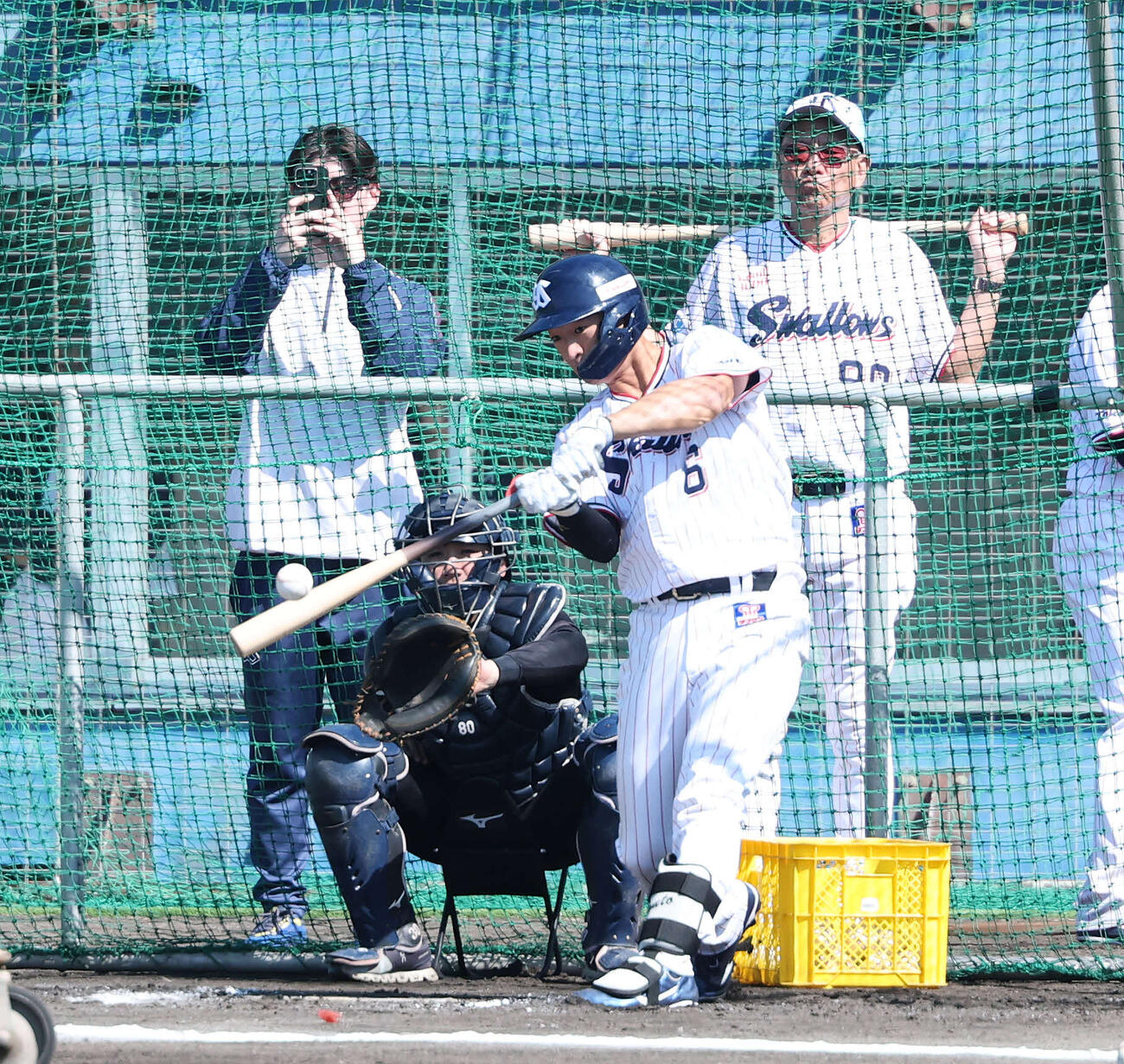 ヤクルト池山監督（右）の前でフリー打撃する松下（撮影・鈴木正人）　