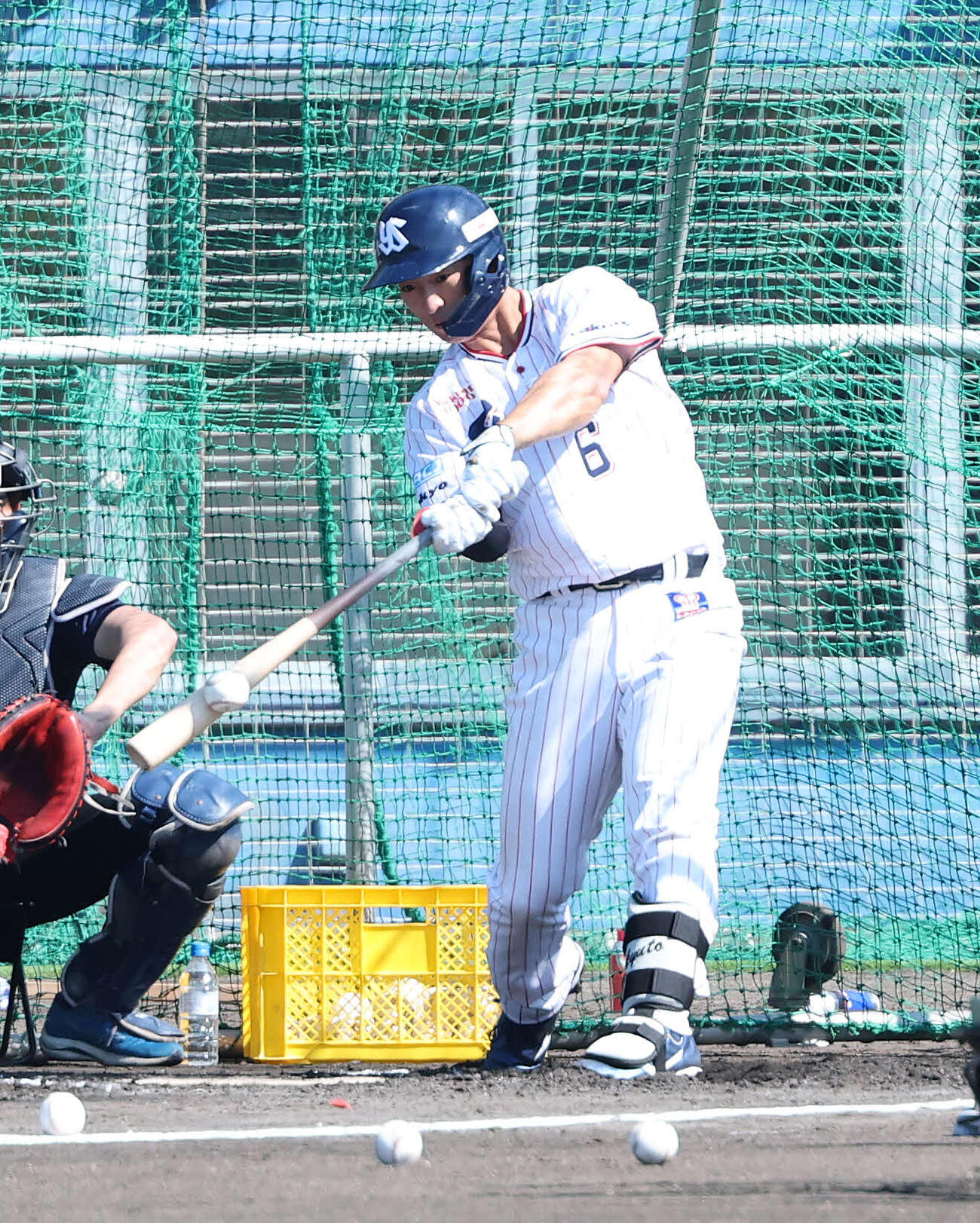 フリー打撃するヤクルト松下（撮影・鈴木正人）　