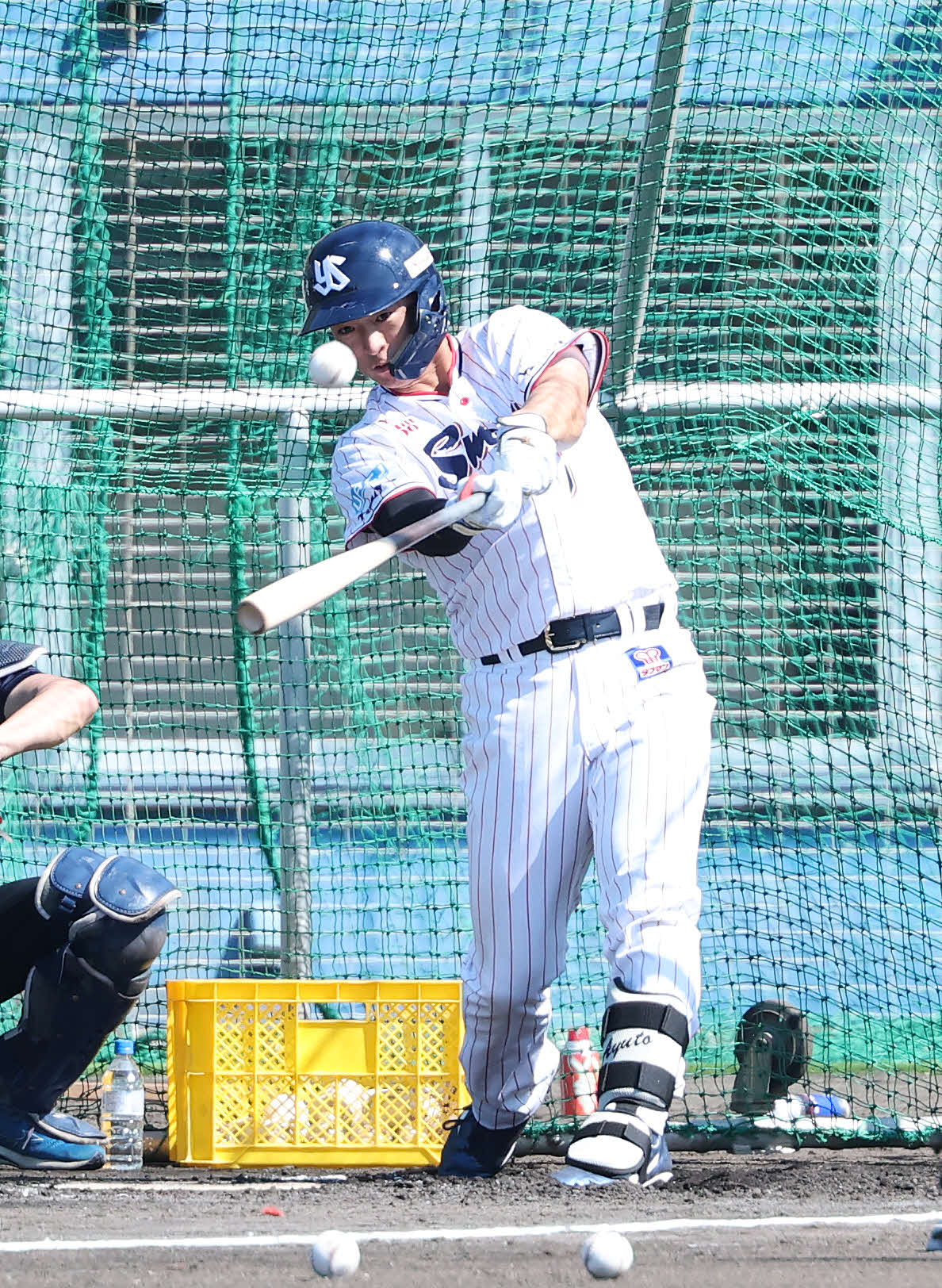 フリー打撃するヤクルト松下（撮影・鈴木正人）　