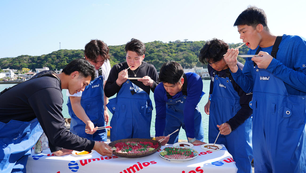 マグロの刺身を食べるDeNAの、左から成瀬、宮下、小田、島田、片山、清水詩（撮影・鈴木みどり）