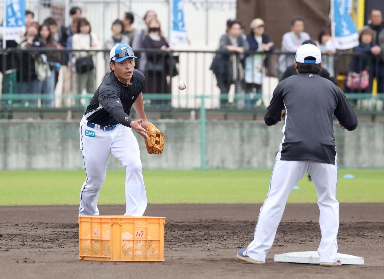全体練習前に二塁で送球練習する日本ハム野村（撮影・黒川智章）