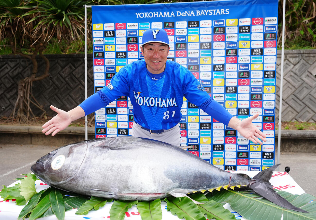 クロマグロを贈呈されたDeNA相川監督（撮影・鈴木みどり）