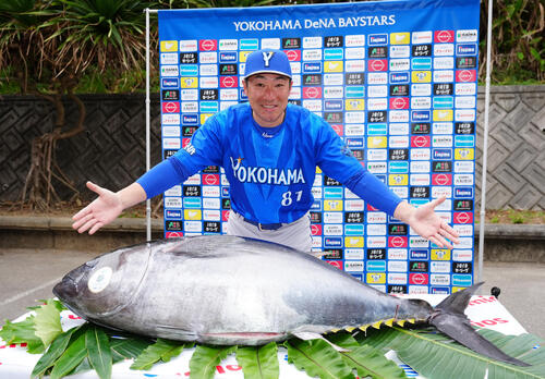 クロマグロを贈呈されたDeNA相川監督（撮影・鈴木みどり）