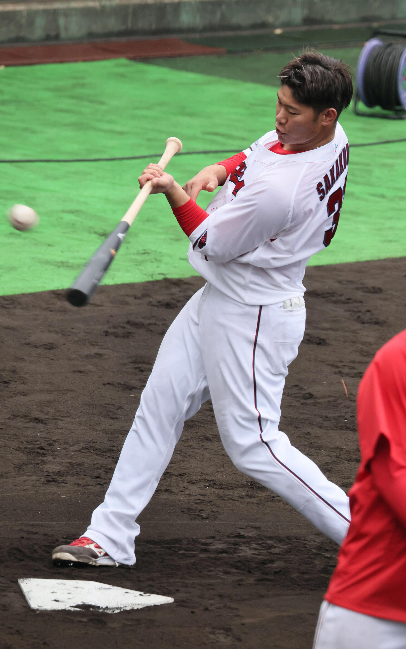 素手でティー打撃練習をする広島坂倉（撮影・加藤孝規）