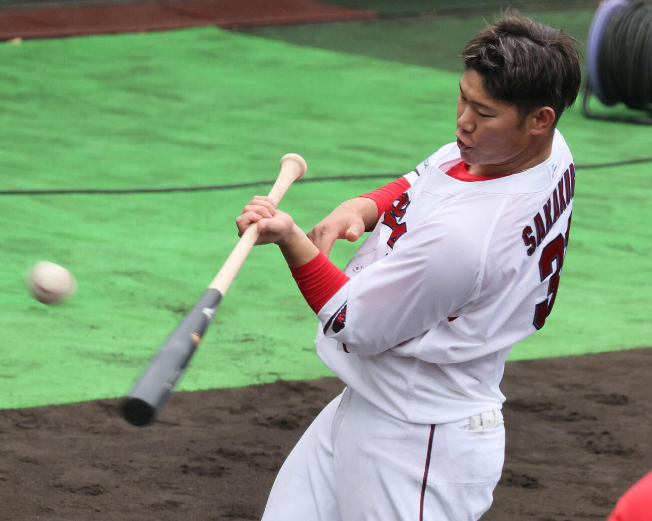 素手でティー打撃練習をする広島坂倉（撮影・加藤孝規）