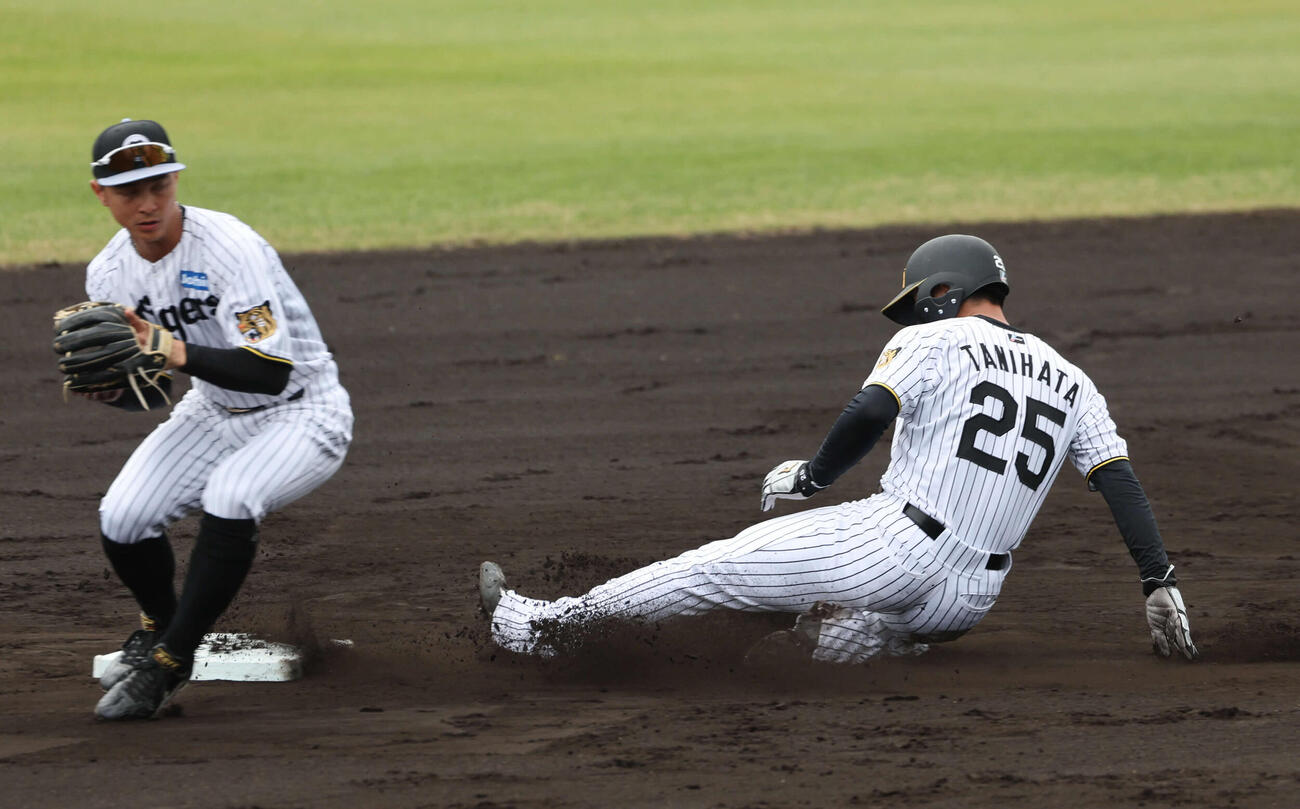 ゲーム形式ノックで走者を務めた阪神谷端は二塁へ滑り込む。野手熊谷（撮影・西尾就之）