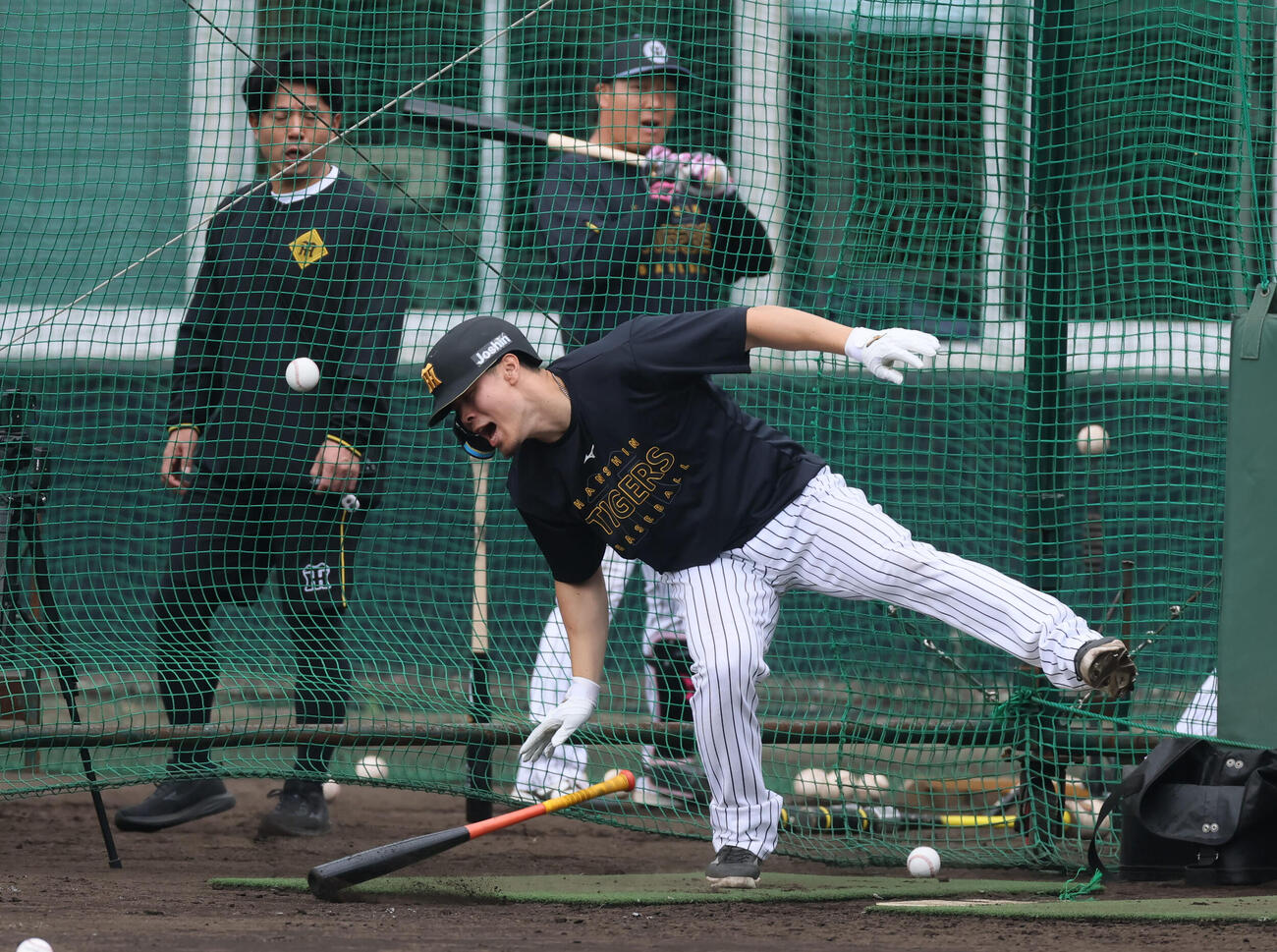 打撃練習で死球を受ける阪神佐藤（撮影・加藤哉）
