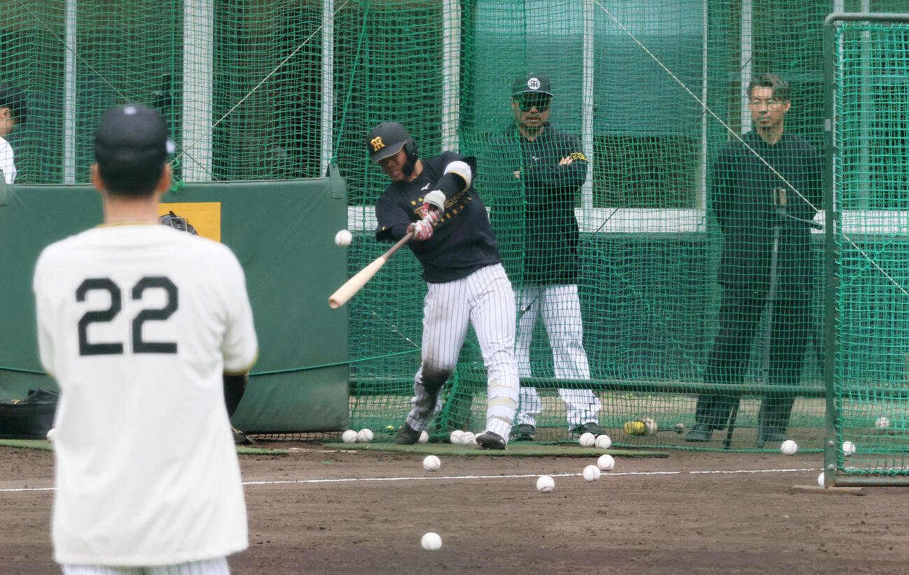打撃練習を行う阪神谷端と見守る藤川監督。右は日刊スポーツ評論家の鳥谷氏（撮影・加藤哉）