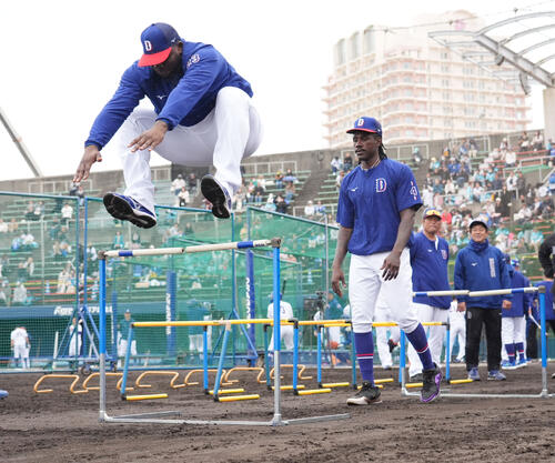 サノー（左）はトレーニングでハードルを華麗にジャンプする（撮影・森本幸一）