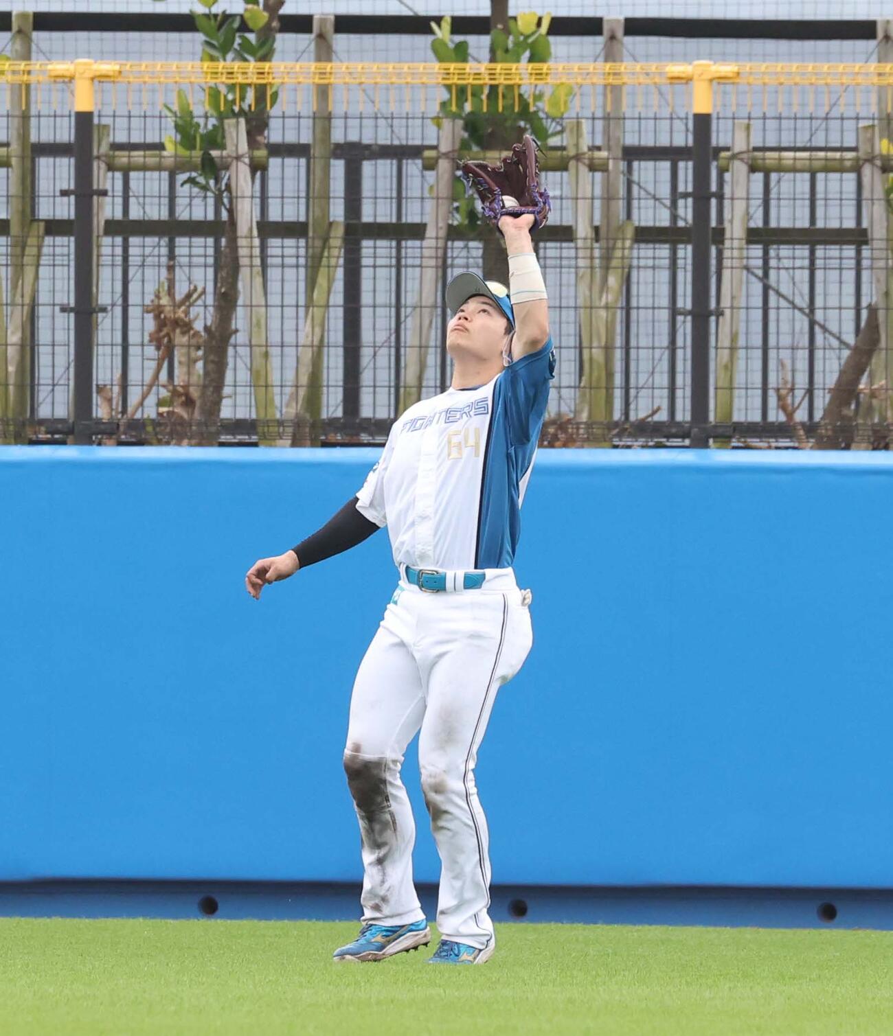 日本ハム紅白戦　5回表紅組無死、今川の中飛をさばく田宮（撮影・黒川智章）