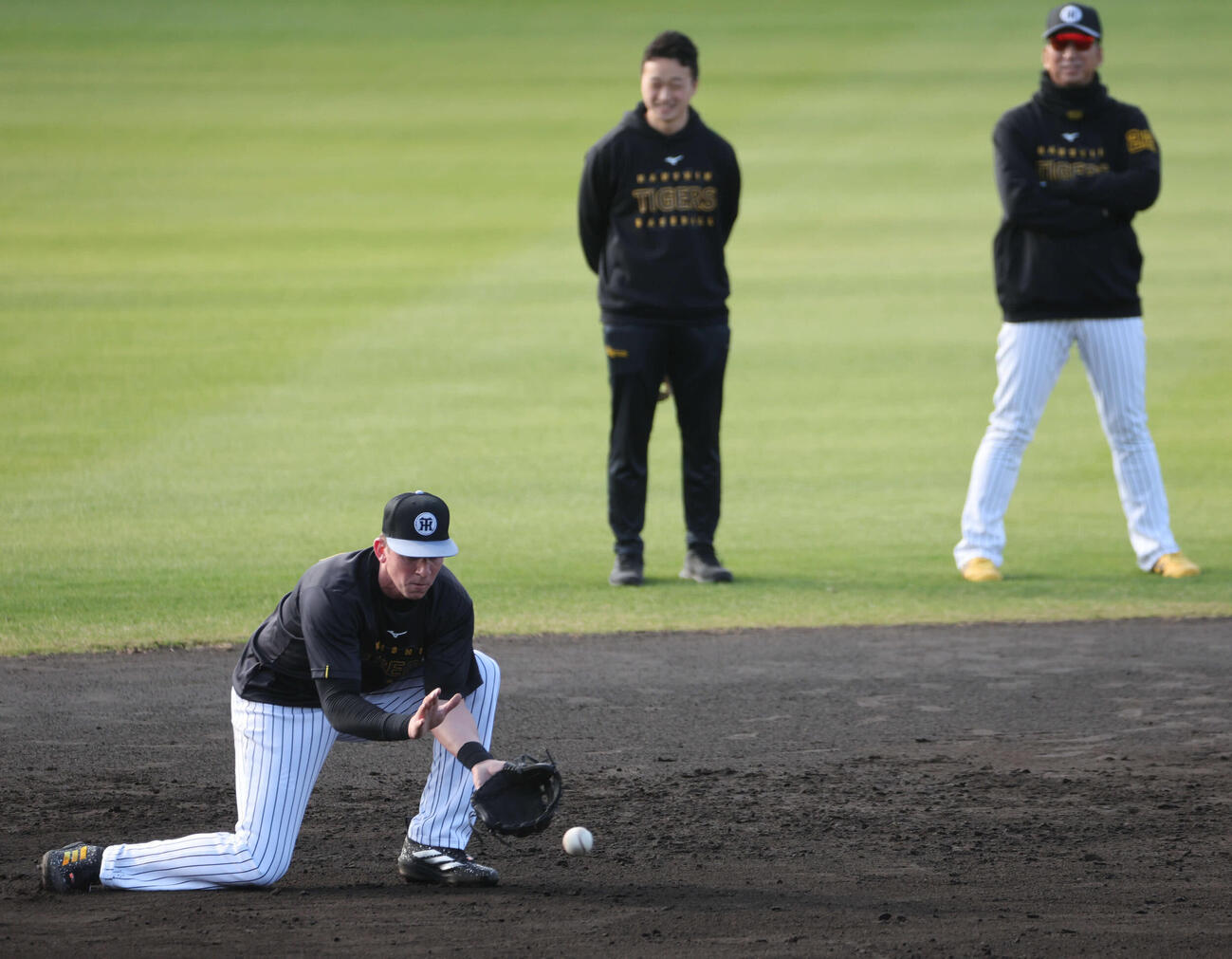 藤川監督が見守る前で早出ノックを受ける阪神ディベイニー（撮影・西尾就之）