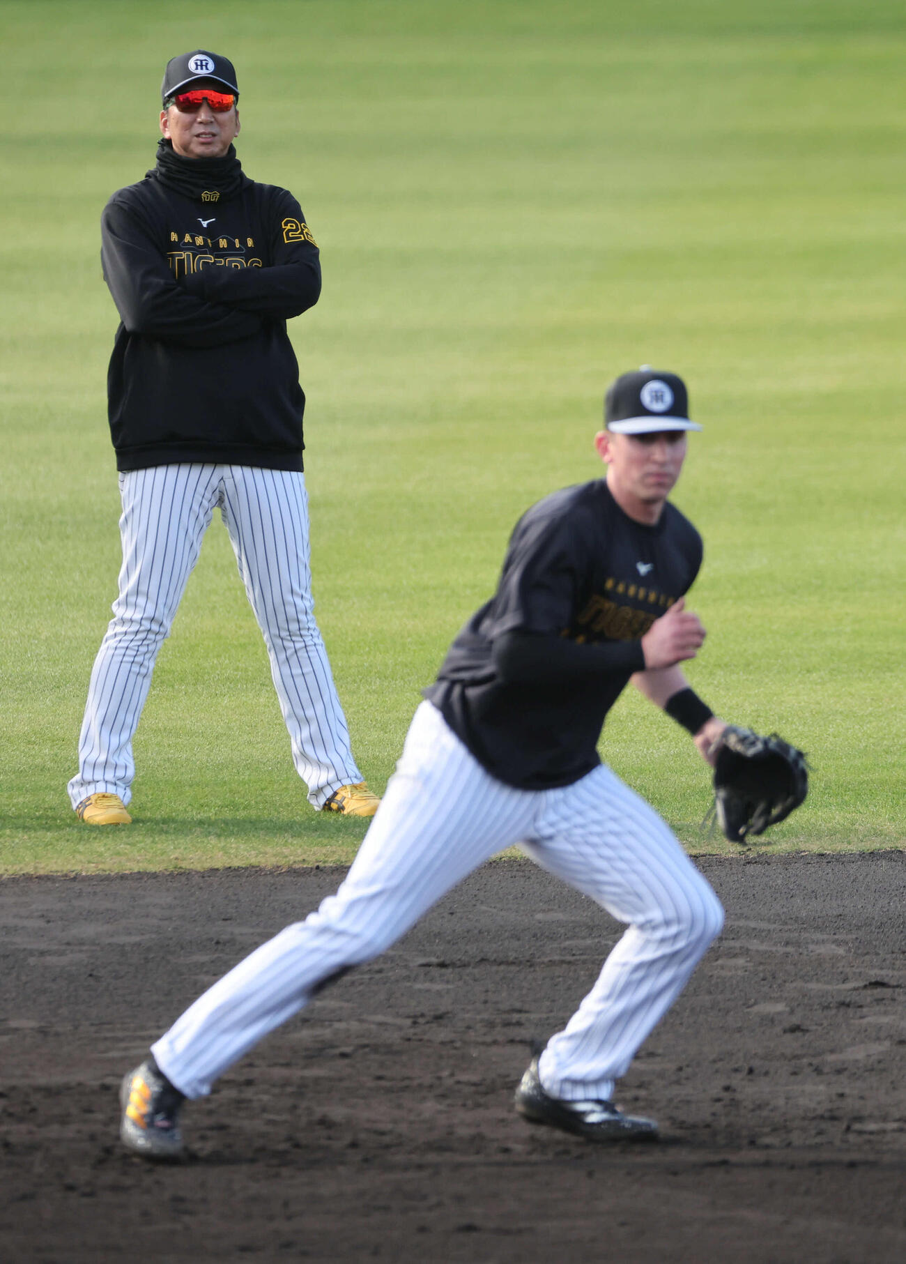 早出ノックを受ける阪神ディベイニーを見る藤川監督（撮影・西尾就之）