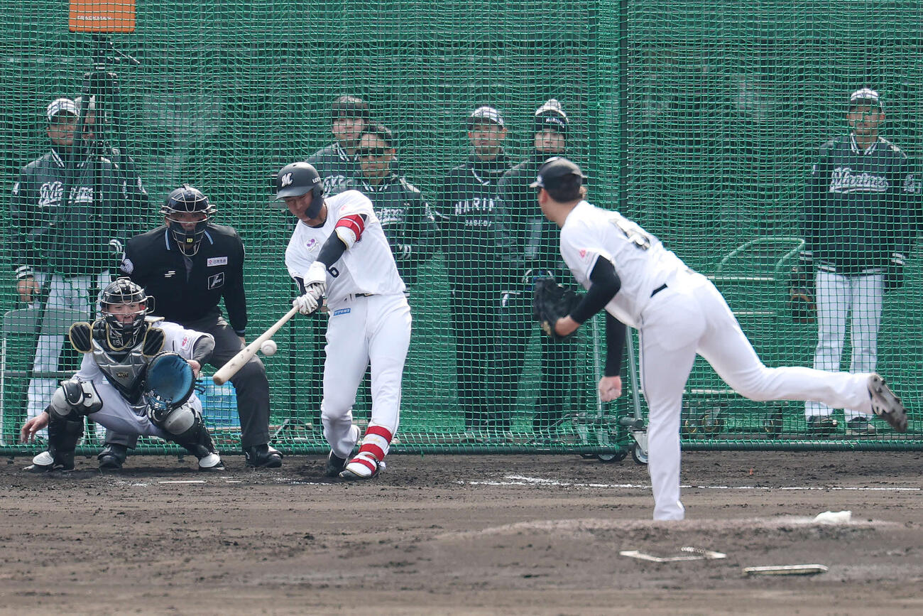 ライブBPで左前打を放つロッテ西川。投手木村（撮影・宮地輝）