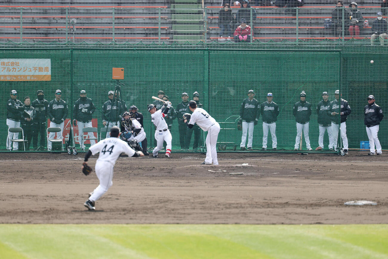ライブBPでロッテのサブロー監督（左端）が見つめる中、左前打を放つ西川。投手木村（撮影・宮地輝）