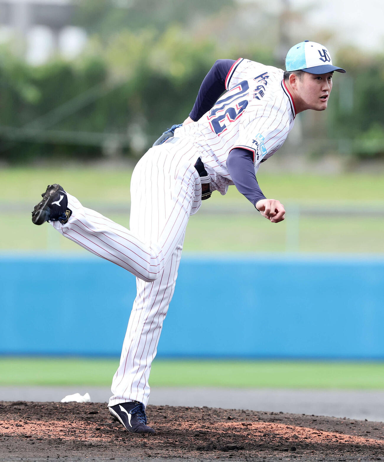ライブBPで登板するヤクルト広沢（撮影・鈴木正人）　