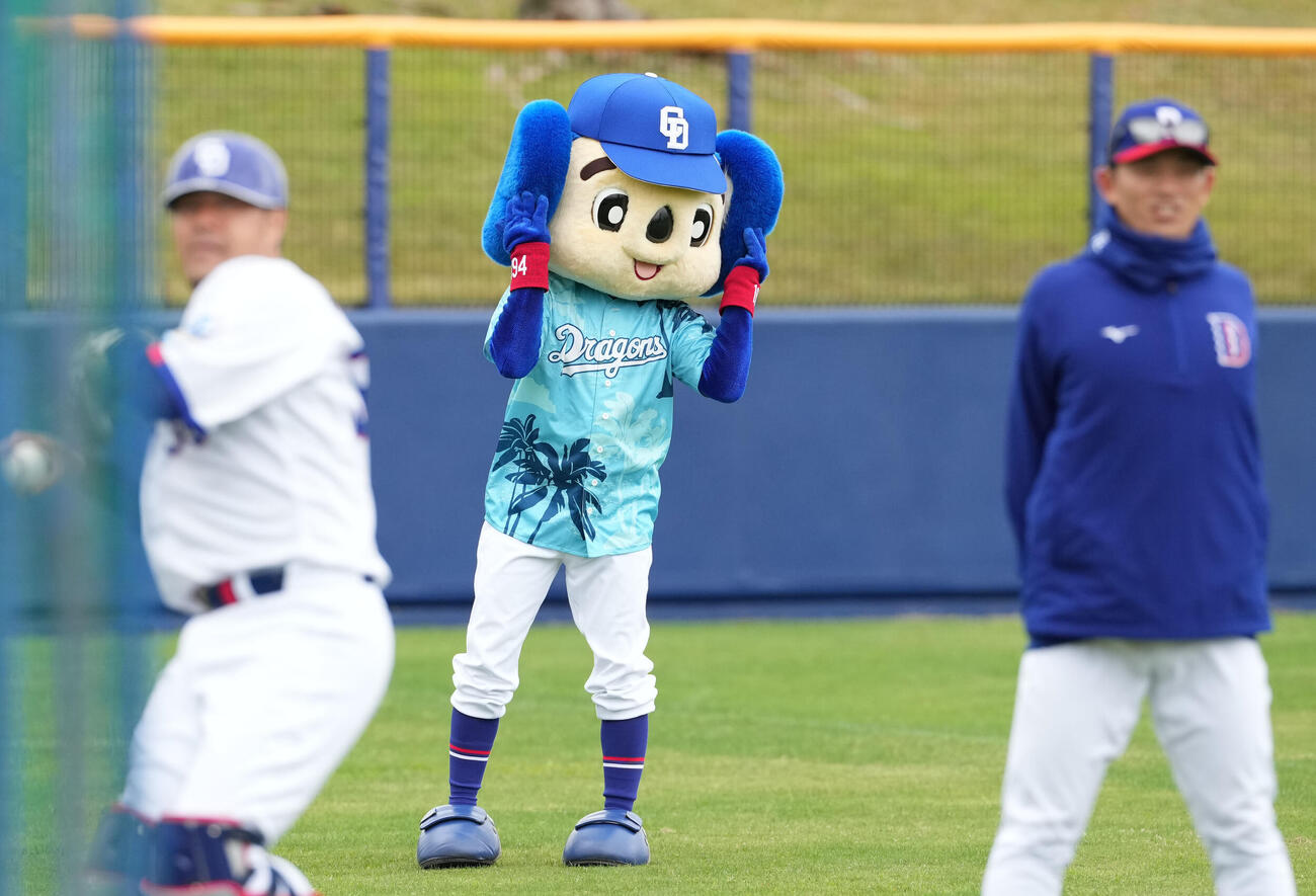 耳をたたみながら練習を見つめるドアラ（撮影・森本幸一）