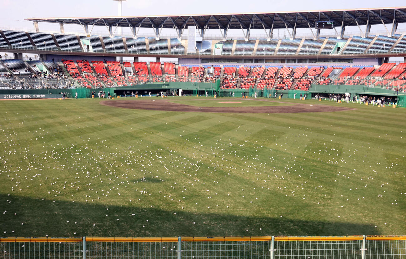 一斉に行う巨人のロングティー打撃の打球が外野に集まり、粉雪のように見えた（撮影・浅見桂子）
