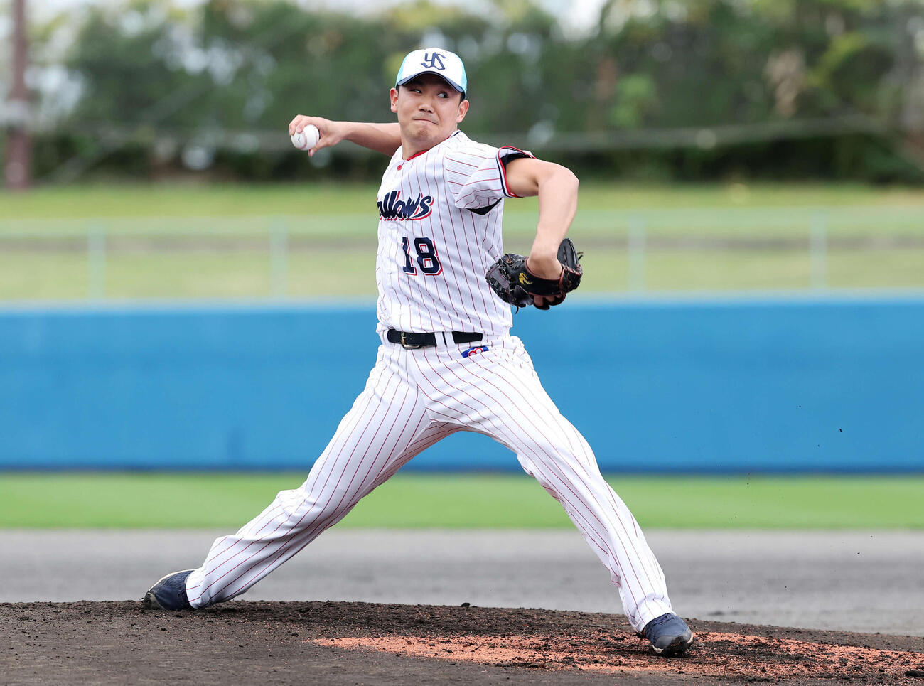 ライブBPで登板するヤクルト奥川（撮影・鈴木正人）　