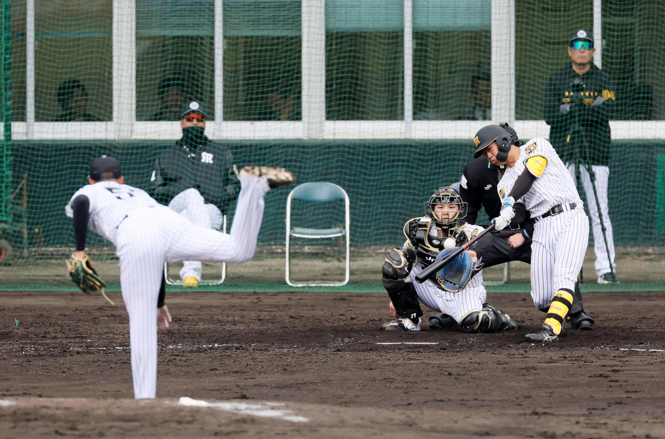 シート打撃練習で左飛を打ち上げる百崎。投手能登（撮影・加藤哉）