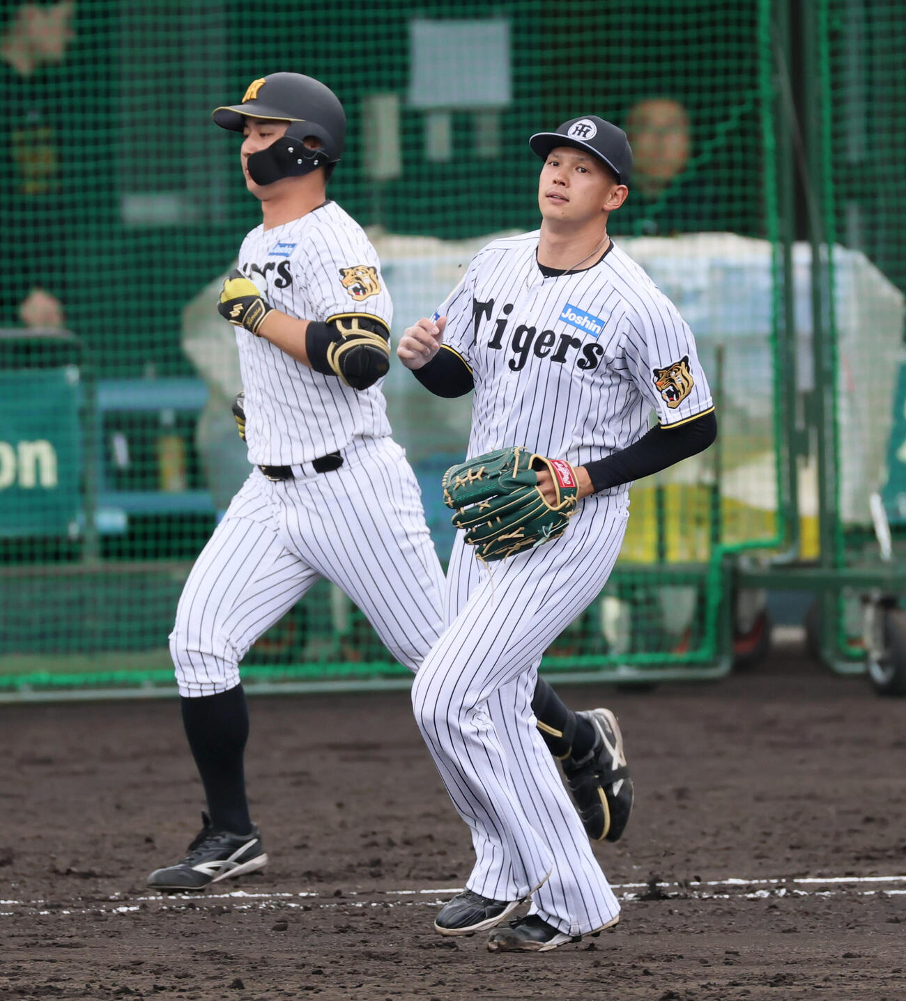 シート打撃練習で阪神能登は井坪を投ゴロに仕留める（撮影・加藤哉）