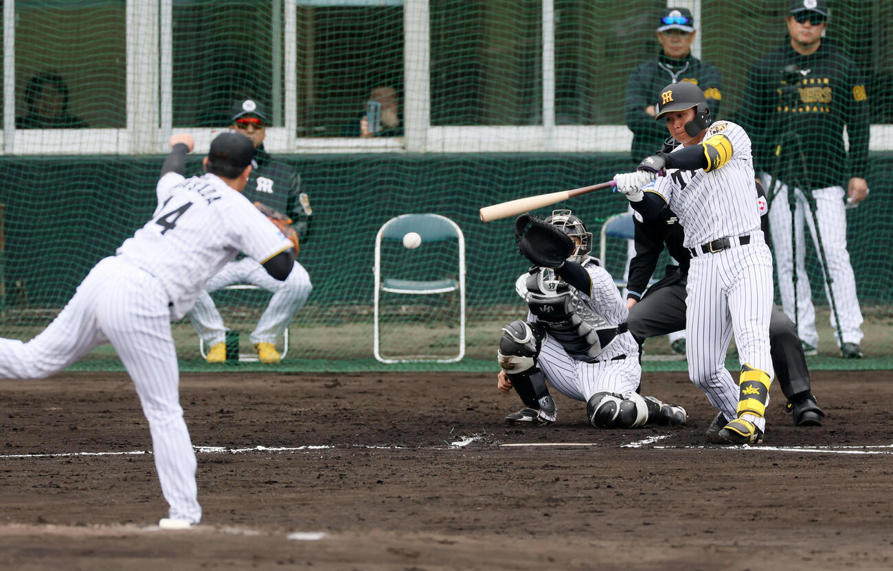 シート打撃練習で阪神森下は右前打を放つ。投手岩貞（撮影・加藤哉）