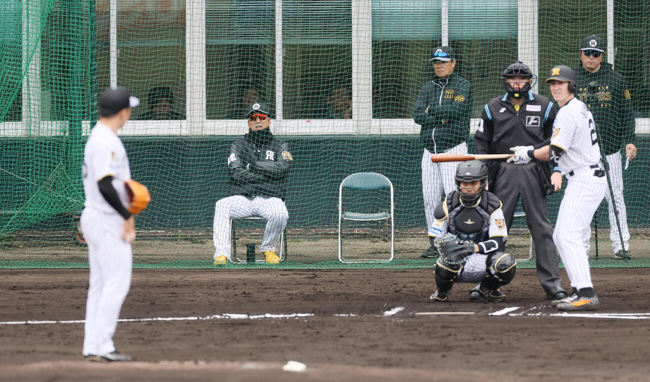 シート打撃練習に登板する石井らナインをネット後方から見る阪神藤川監督（撮影・加藤哉）