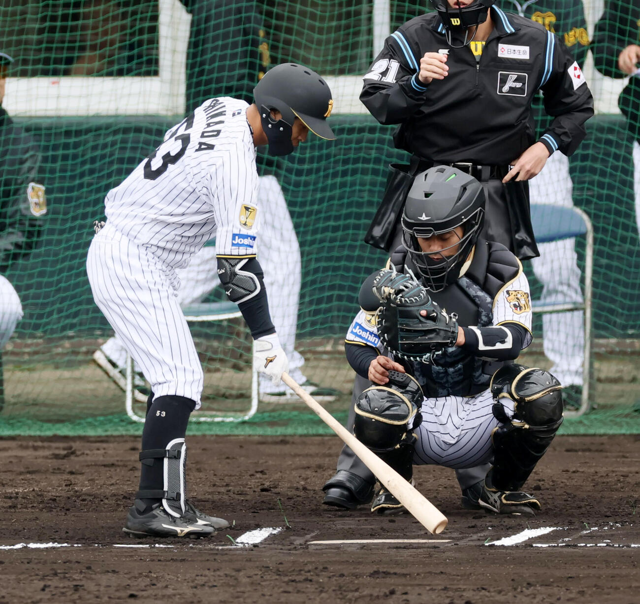シート打撃練習でピッチコムを使用する阪神坂本（撮影・加藤哉）