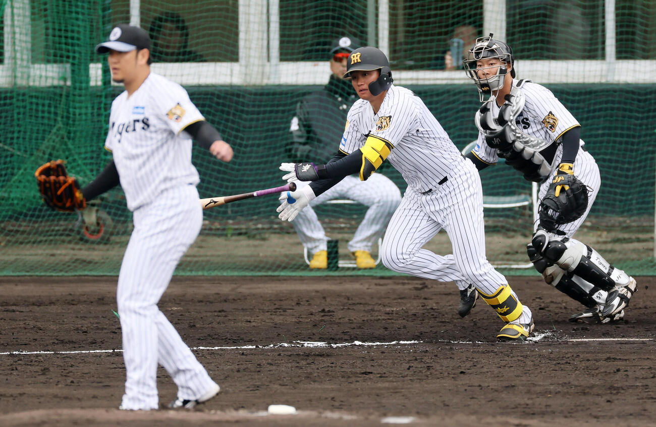 シート打撃練習で右前打を放つ阪神森下。投手岩貞（撮影・加藤哉）
