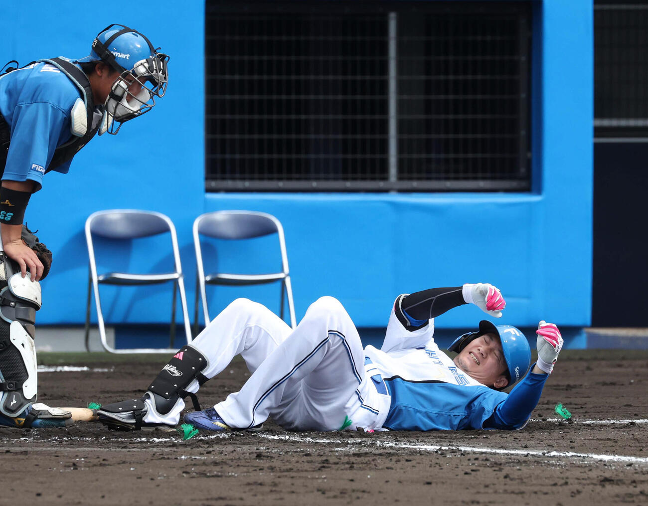 日本ハム紅白戦　2回裏白組1死、死球をうけ倒れる西川（撮影・黒川智章）