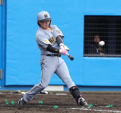 日本ハム対阪神　4回表阪神2死、左越え本塁打を放つ浜田（撮影・黒川智章）