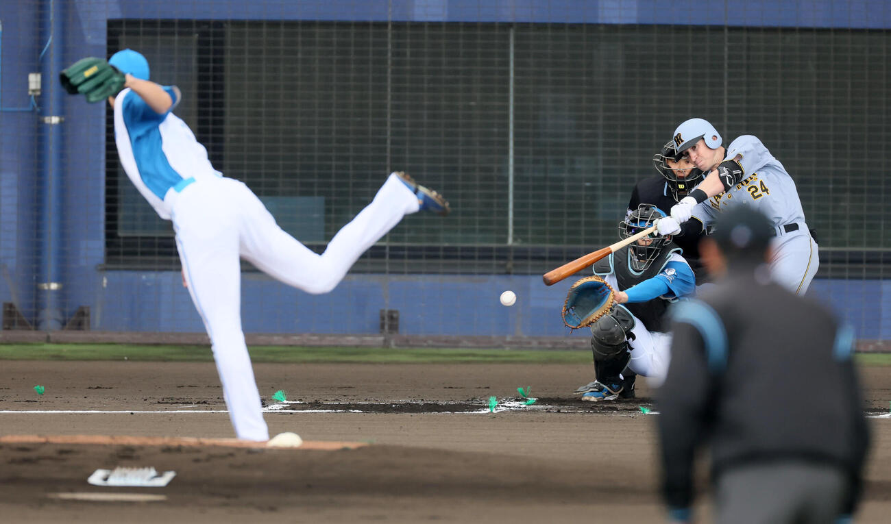 日本ハム対阪神　1回表阪神2死、ディベイニーは中前打を放つ。投手達（撮影・加藤哉）