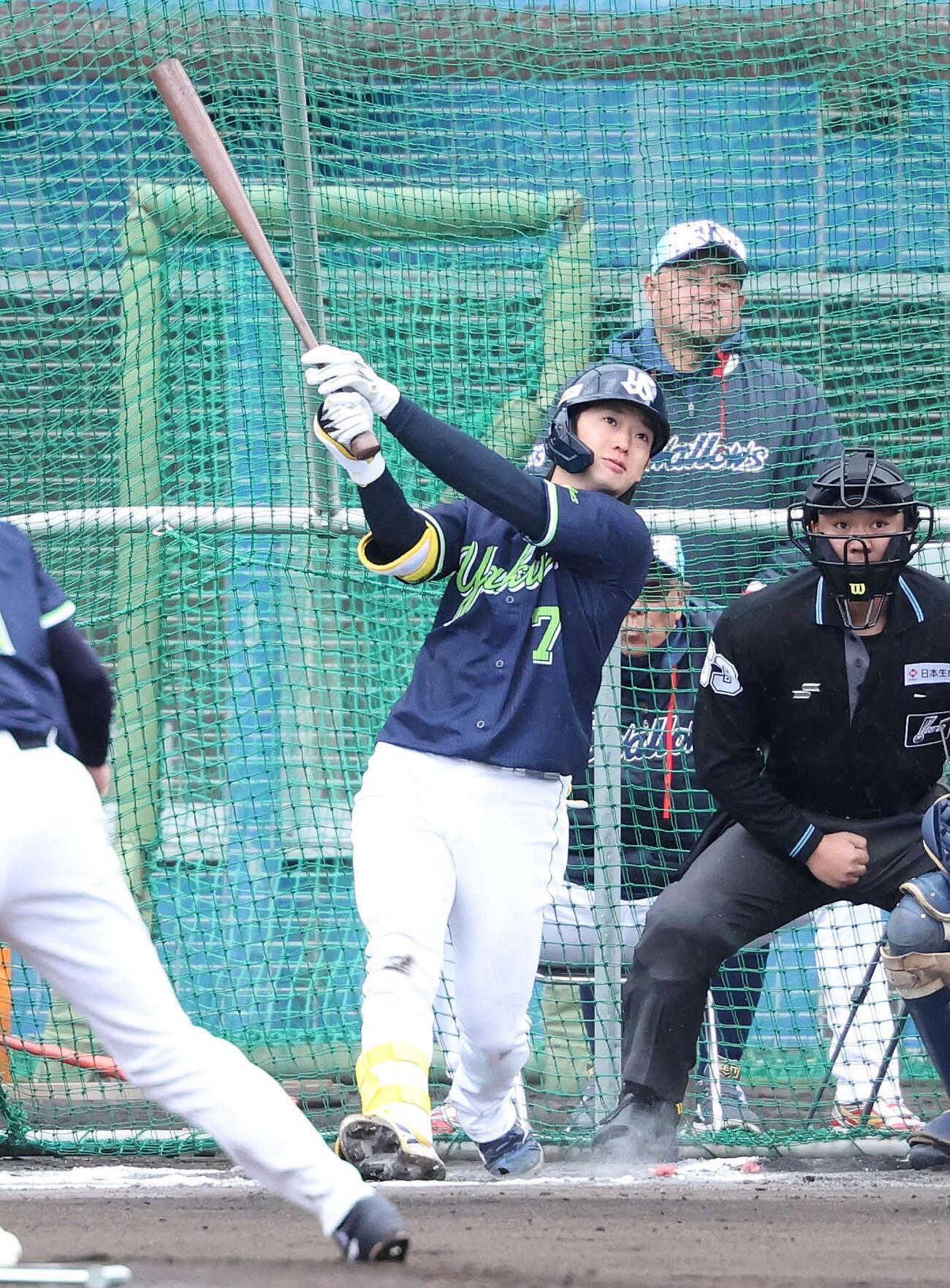 ライブBPに臨むヤクルト長岡（撮影・鈴木正人）　