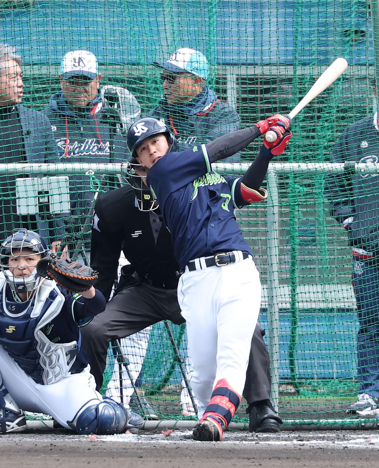 ライブBPに臨むヤクルト内山（撮影・鈴木正人）　
