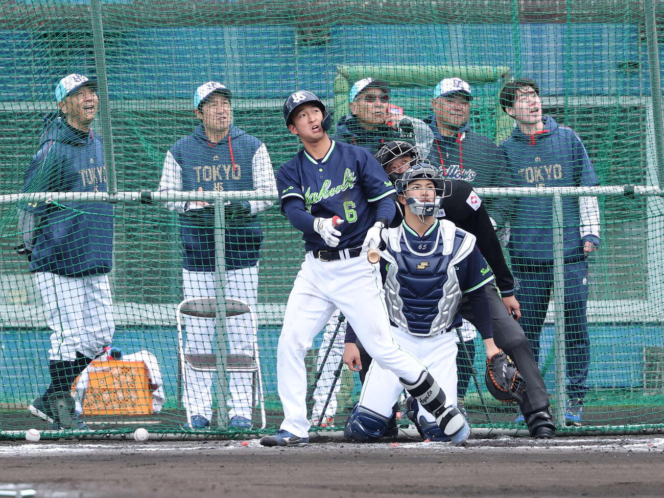 ライブBPで柵越えを放つヤクルト松下（撮影・鈴木正人）　