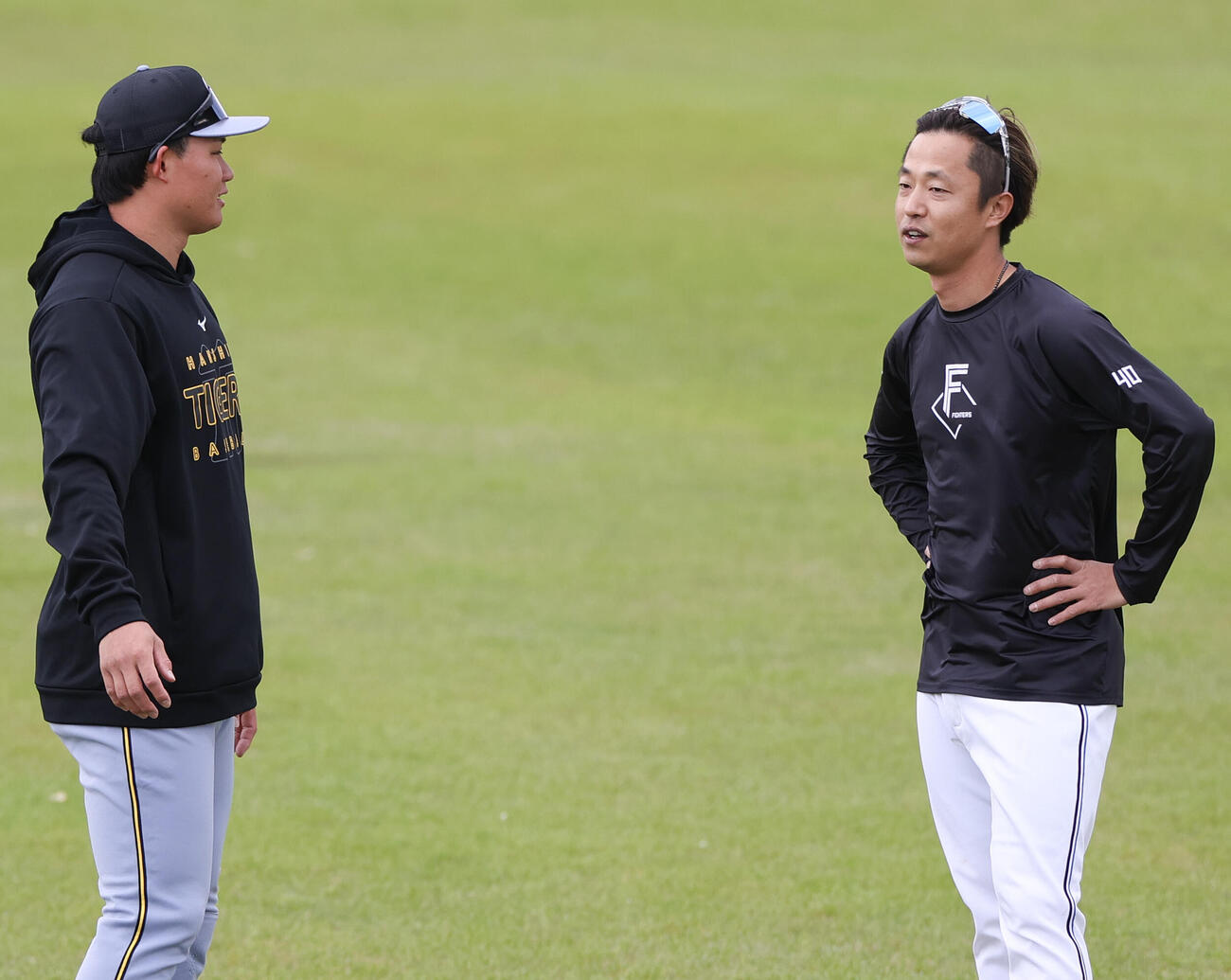 練習試合・日本ハム対阪神　試合前、　　日本ハム島本（右）と話す阪神森下（撮影・上山淳一）
