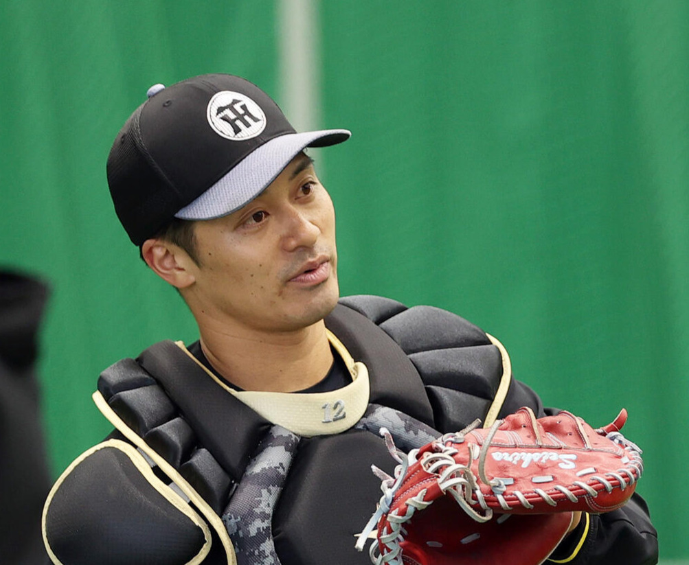 阪神坂本誠志郎（2026年2月撮影）