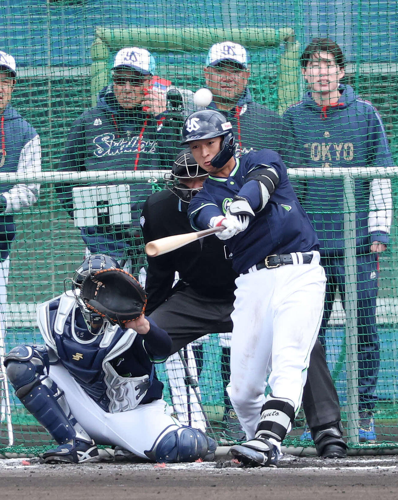 ライブBPで柵越えを放つヤクルト松下（撮影・鈴木正人）　