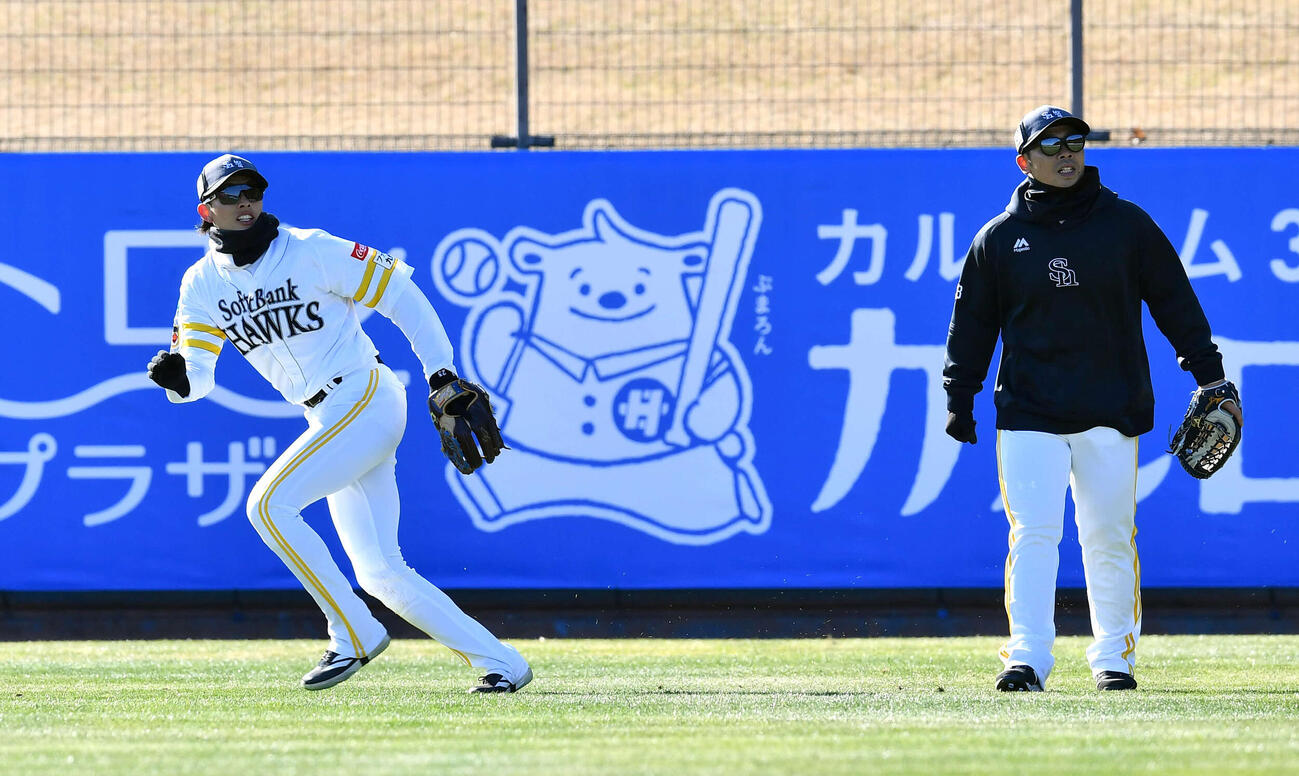 守備練習を行うソフトバンク周東（左）と近藤（撮影・岩下翔太）