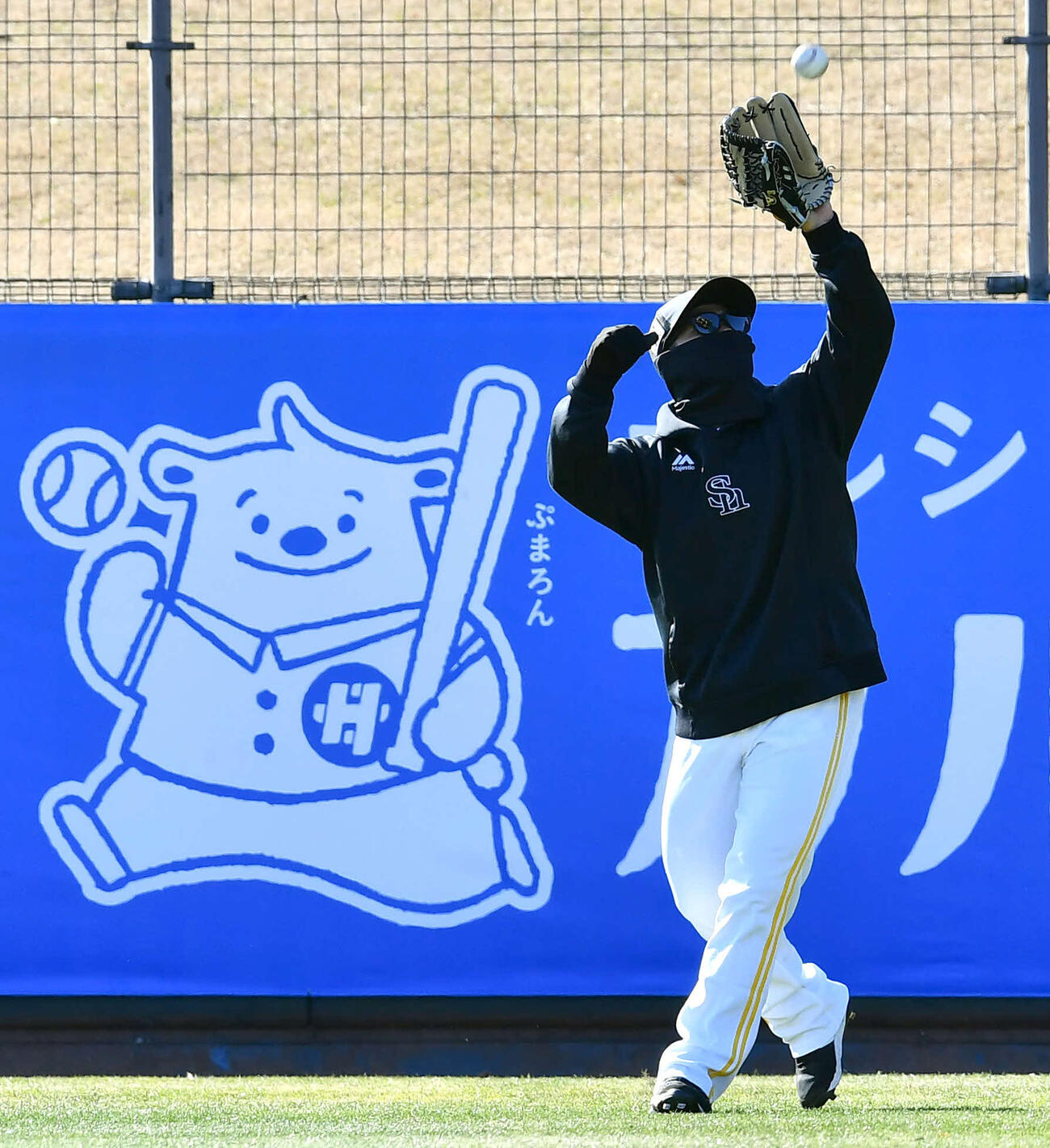 守備練習を行うソフトバンク近藤（撮影・岩下翔太）