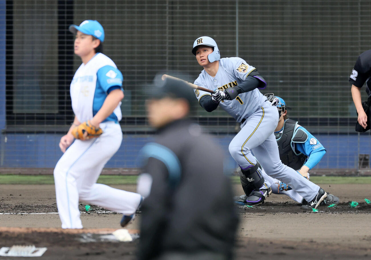 日本ハム対阪神　3回表阪神2死、森下は右飛を打ち上げる。投手畔柳（撮影・加藤哉）
