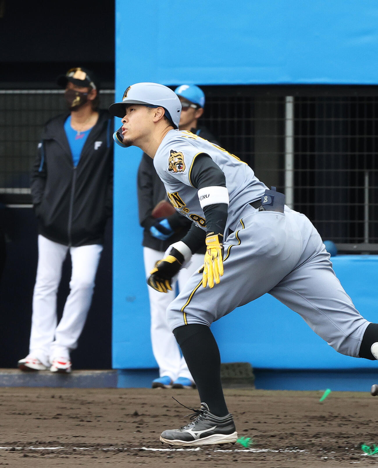 練習試合・日本ハム対阪神　3回表阪神1死、佐藤は中飛に倒れる。左は日本ハム新庄監督（撮影・上山淳一）