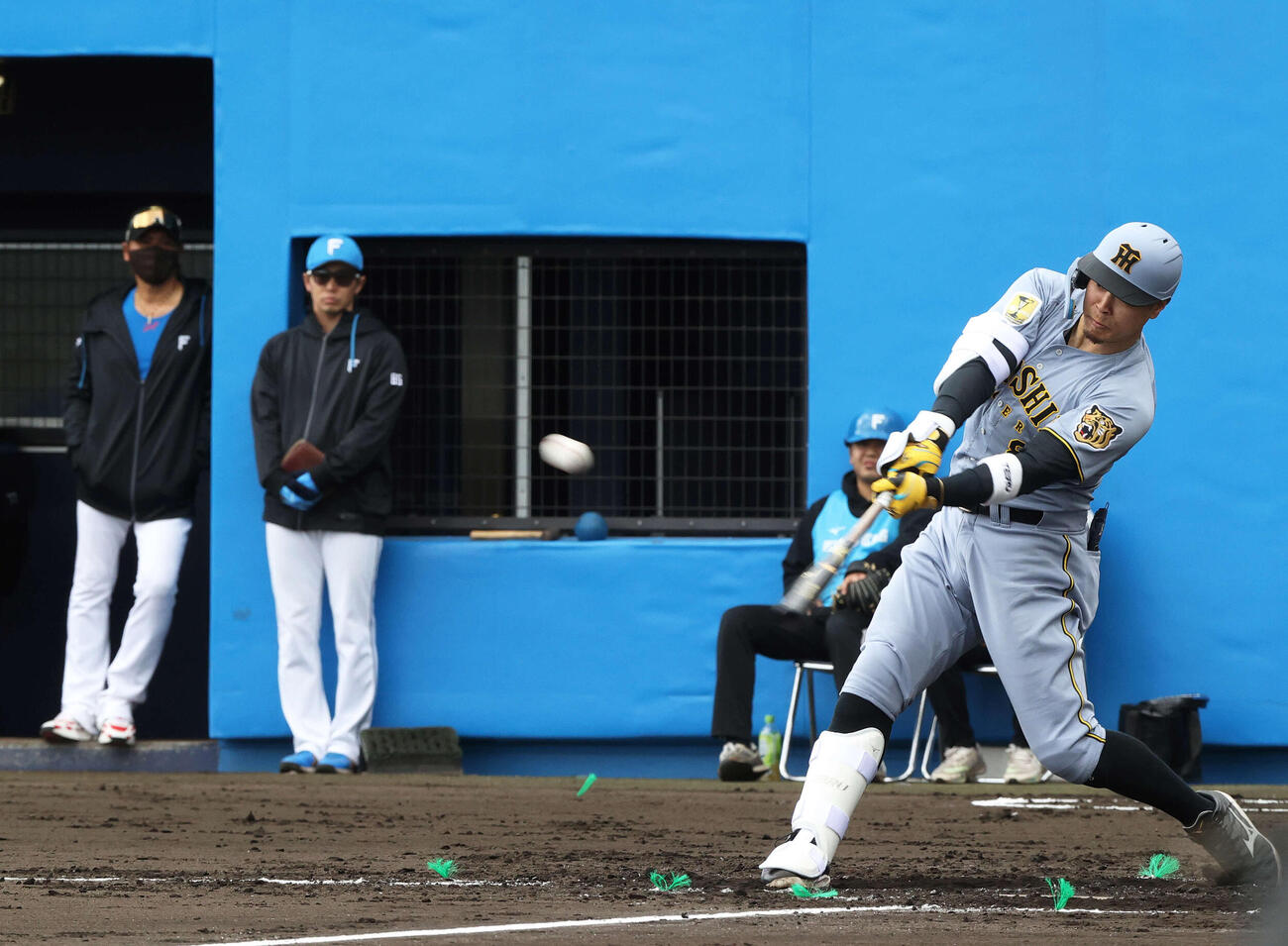 練習試合・日本ハム対阪神　3回表阪神1死、佐藤は中飛に倒れる。左は日本ハム新庄監督（撮影・上山淳一）