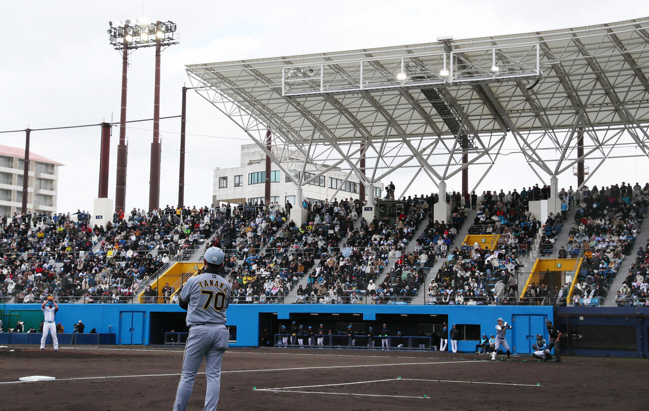 練習試合・日本ハム対阪神　3回表阪神1死、打席に立つ佐藤。投手畔柳（撮影・上山淳一）